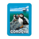 Search for cordova magnets States