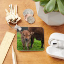 Search for dairy key rings Ranch