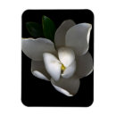 Search for single flowered magnets Bouquet