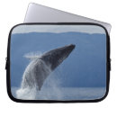 Search for blurred motion cases Usa