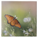 Search for butterfly tiles Macro