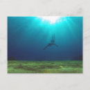 Search for malta postcards Sea