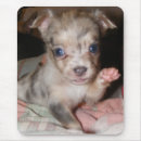 Search for merle mousepads Pet