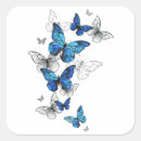 Search for blue morpho butterfly stickers Butterflies
