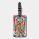 Search for yorkie accessories Pets