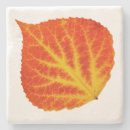 Search for aspen coasters Colorado