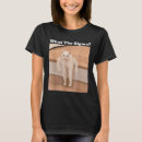 Search for fourth of july womens tshirts Meowica