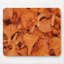 Search for forager electronics Mushrooms