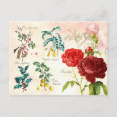 Search for flowering plants postcards Illustration