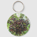 Search for edible key rings Tasty