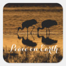 Search for peace animals stickers Peace on earth