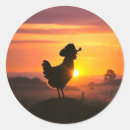 Search for funny country stickers Chicken