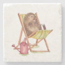 Search for hedgehogs coasters Wildlife
