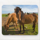 Search for ralph mousepads Iceland