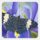 Search for beauty nature stickers Tropical