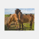Search for icelandic horses blankets Wild horse
