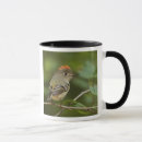 Search for birds of north america mugs Songbird