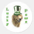Search for golden paw stickers Retriever