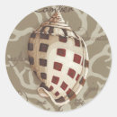 Search for sonnets stickers Seashells