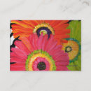 Search for gerberas business cards Pink