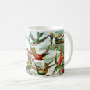 Search for ernst haeckel mugs Trochilidae