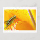 Search for abstract animal postcards Nature