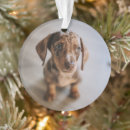 Search for miniature dachshund christmas tree decorations Dog