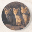 Search for omnivorous coasters Carnivore