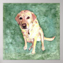 Search for retreivers posters Labrador