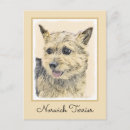 Search for norwich postcards Terrier
