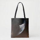 Search for capsules bags Science