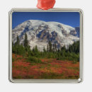 Search for mt rainier christmas tree decorations Scenic