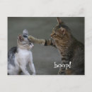 Search for funny cat postcards Animal