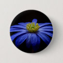 Search for daisy badges Daisies