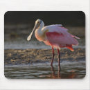 Search for roseate mousepads Spoonbill