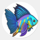 Search for yellow fish stickers Fishes