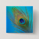 Search for peacock feathers badges Green
