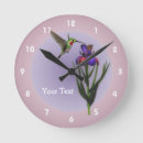 Search for hummingbird clocks Nature