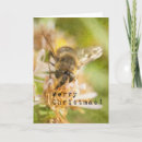 Search for honey bee christmas cards Merry