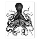 Search for octopus rubber stamps Ocean