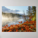 Search for upper peninsula posters Forest