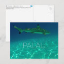 Search for sharks postcards Underwater