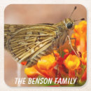 Search for moth coasters Butterfly