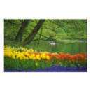 Search for keukenhof holland posters Dutch