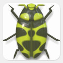 Search for black beetle stickers Bug