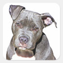 Search for pit bull dog stickers Cute