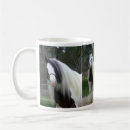 Search for gypsy horse mugs Vanner