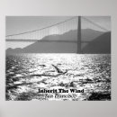 Search for windsurfing posters Windsurfer