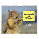 Search for funny joke jokes calendars Humor