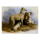 Search for vintage dog posters Cute dogs